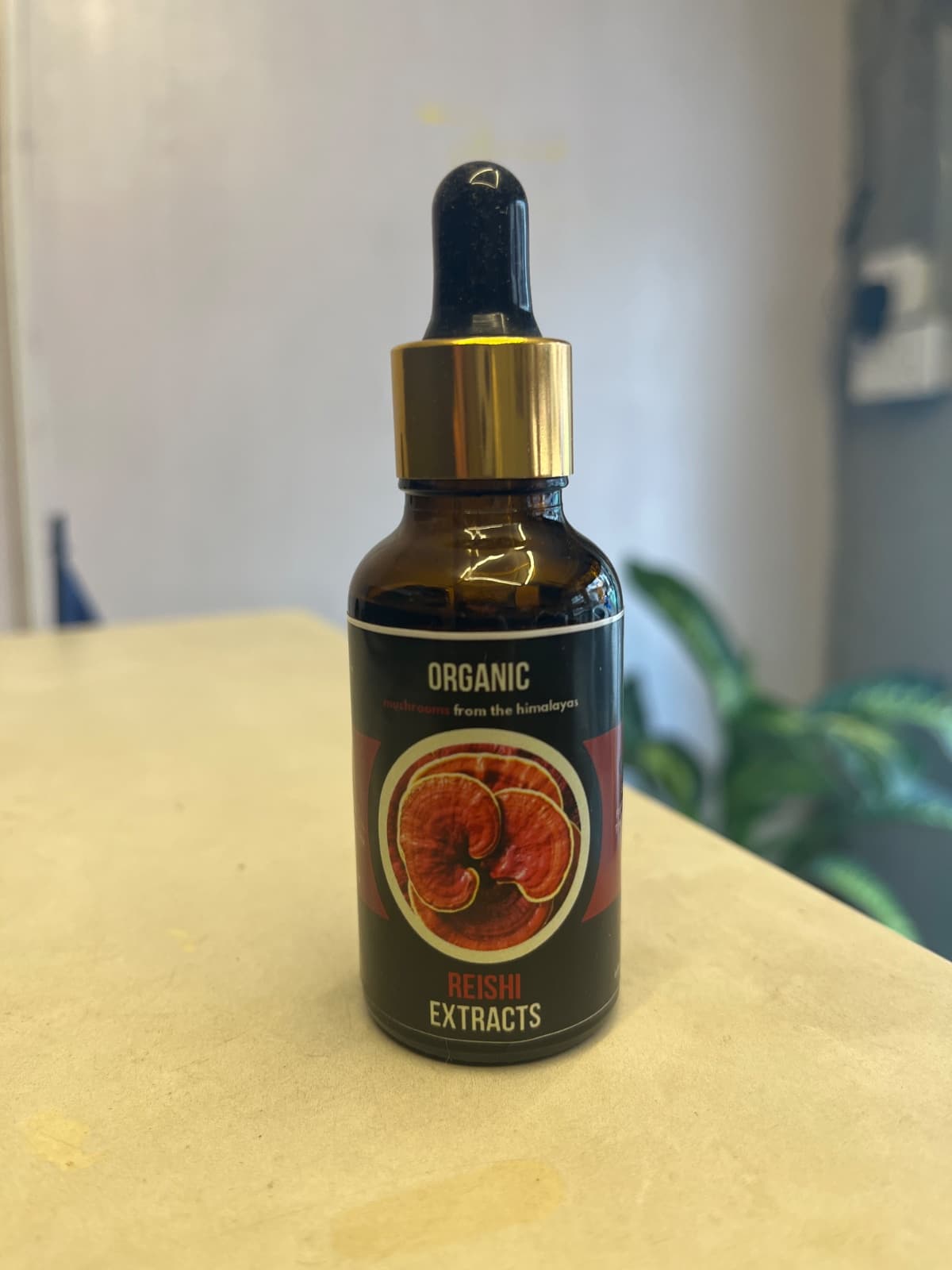 Organic Reishi Mushroom Extract 30ml | Wellness Booster