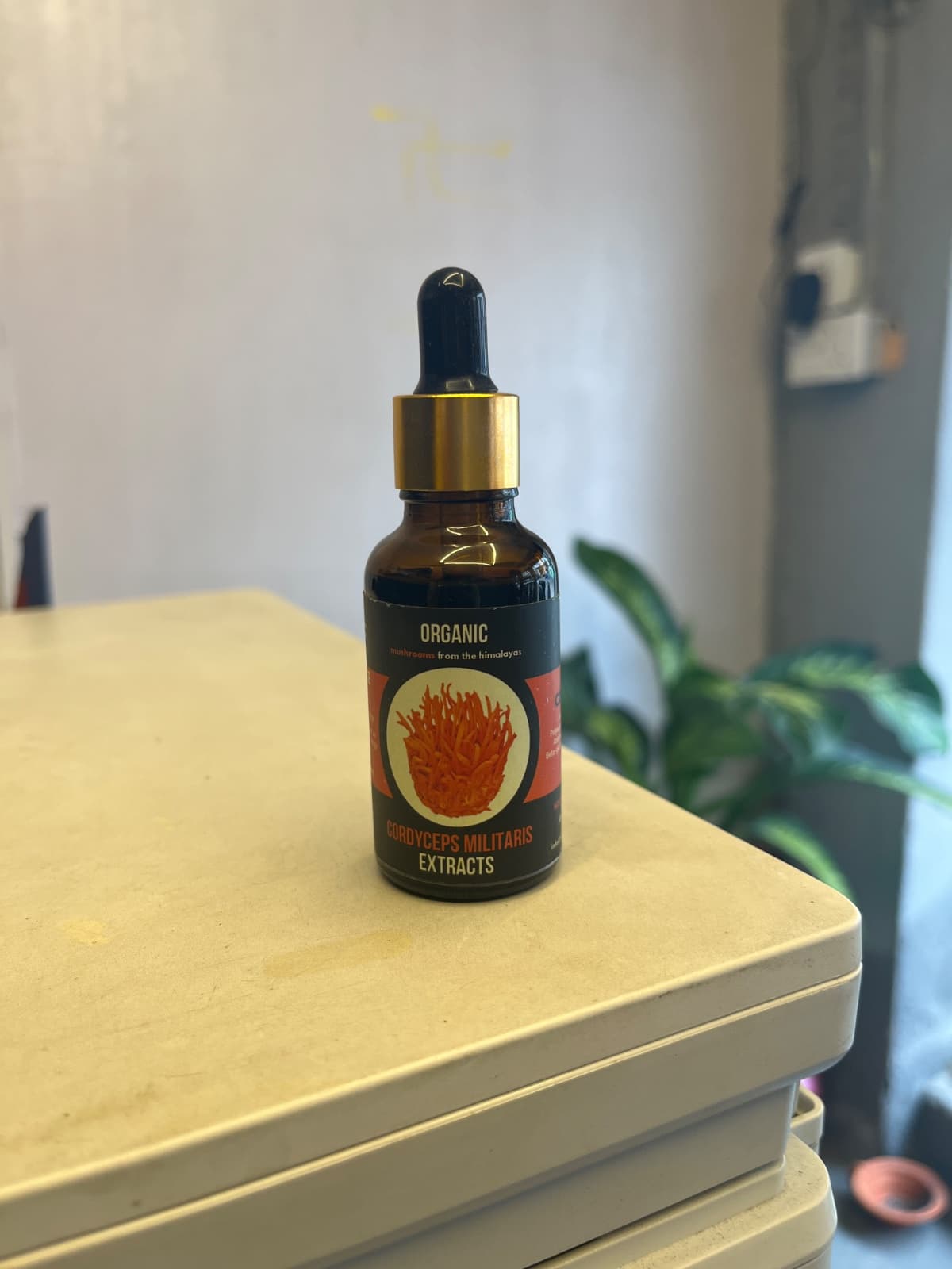 Organic Cordyceps Militaris Extract 30ml | Performance Booster